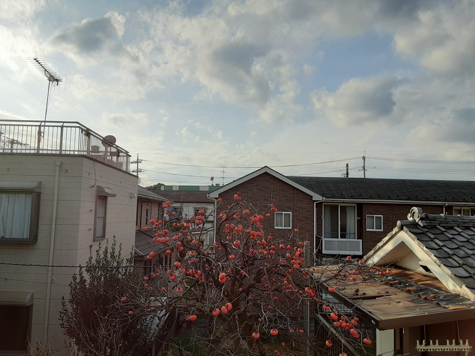 16/30 その他画像