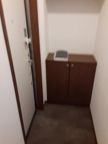 10/29 玄関