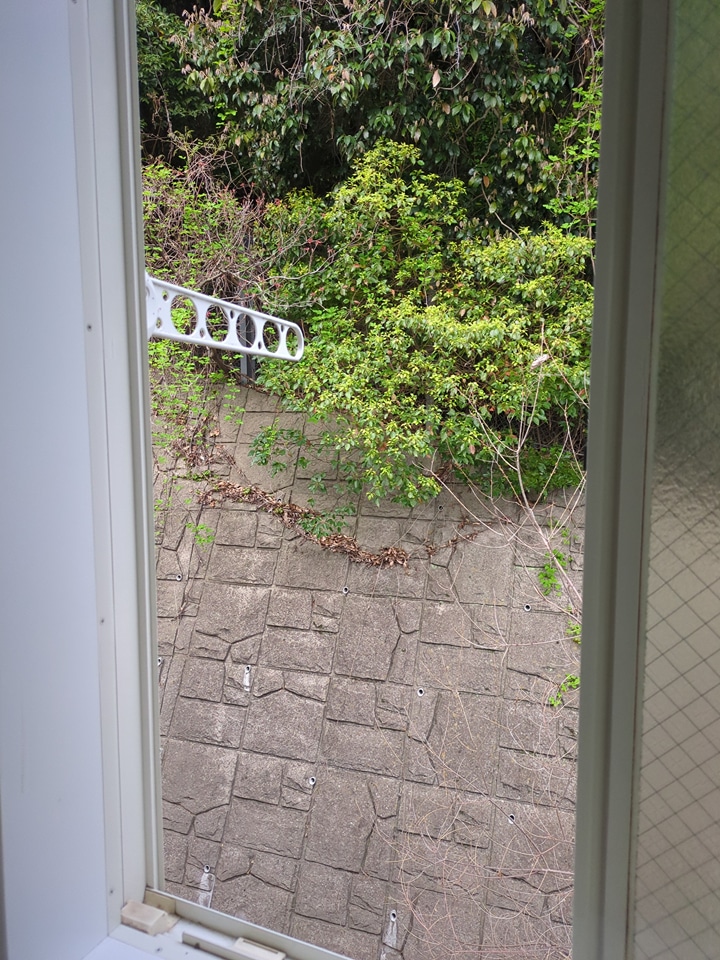 15/20 その他画像