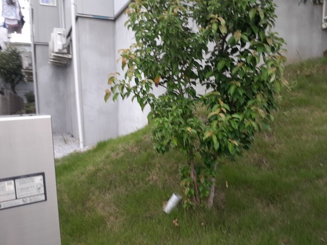 10/21 その他画像