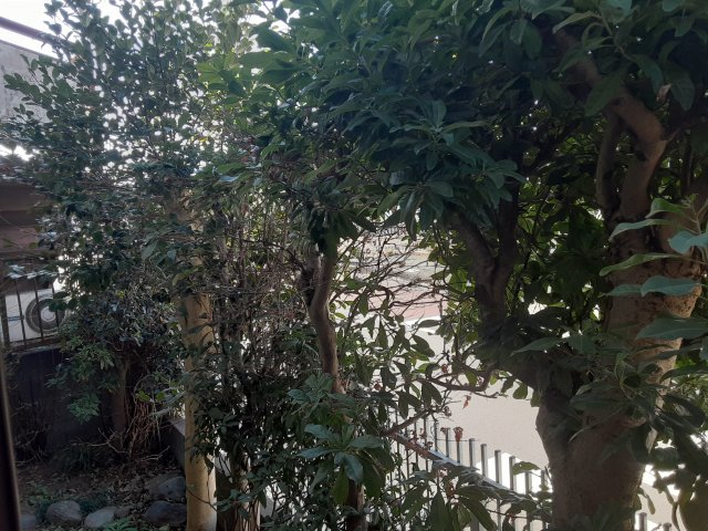 28/30 その他画像