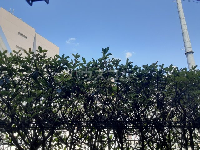 17/21 その他画像