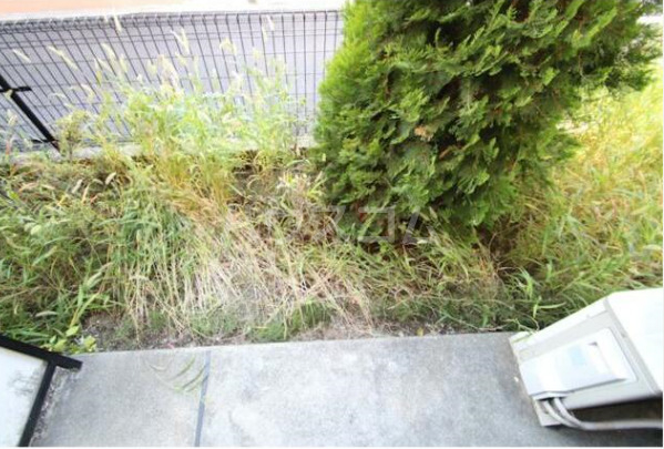 11/24 バルコニー