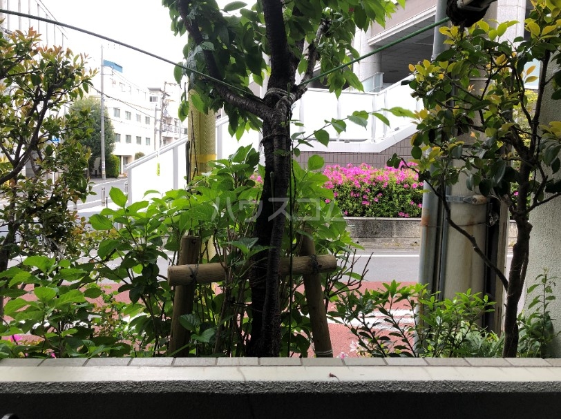 20/29 その他画像