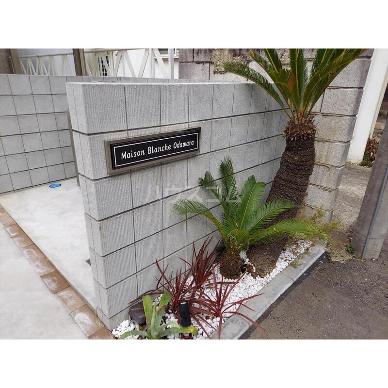 4/11 エントランス