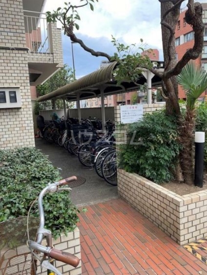 15/29 その他画像