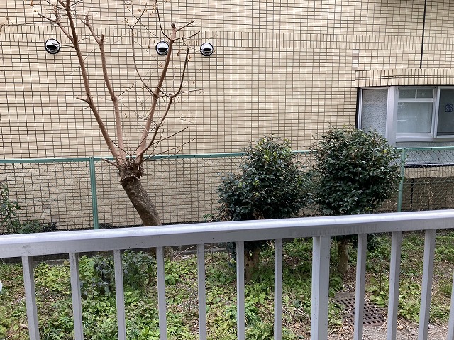 24/27 その他画像