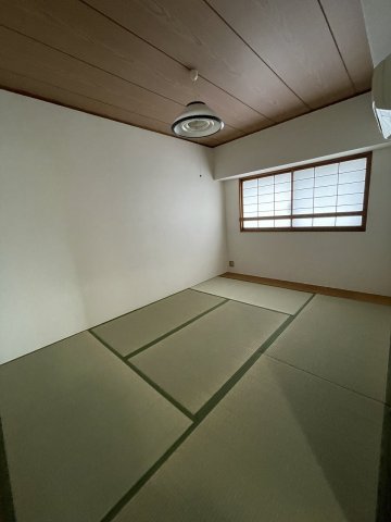 8/29 室内