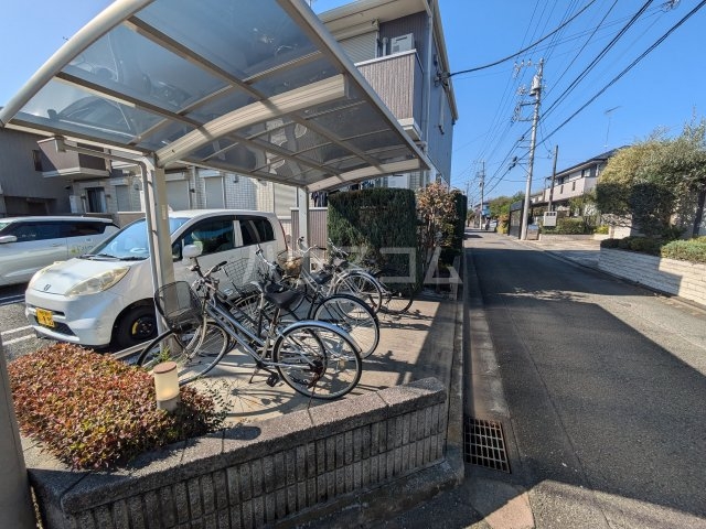 20/30 その他画像