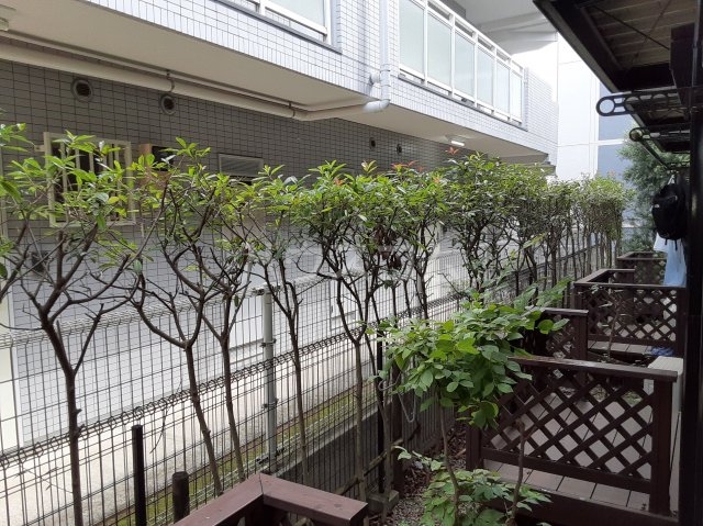 17/28 その他画像