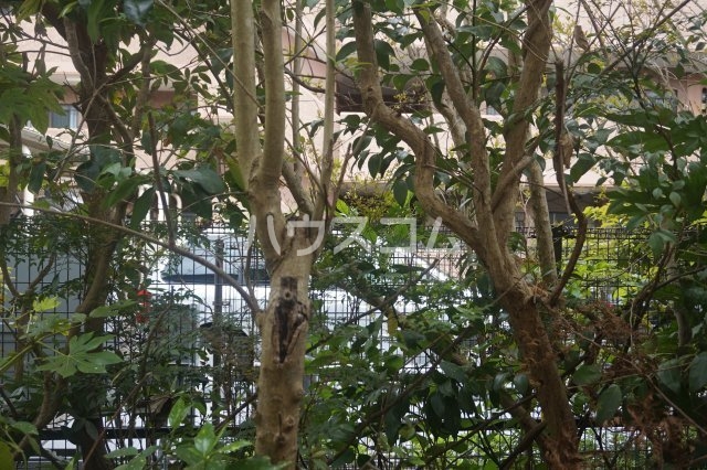 21/30 その他画像