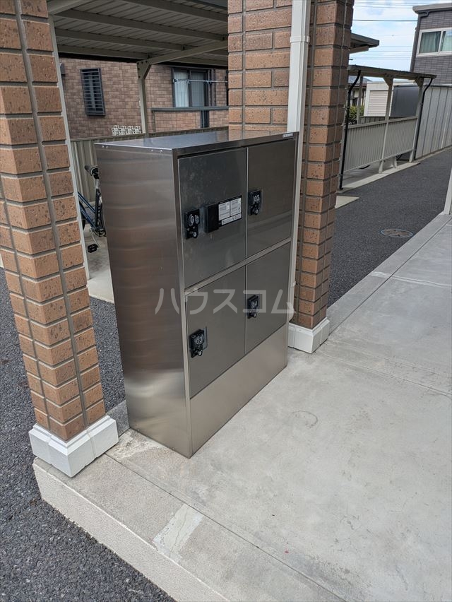 20/30 その他画像