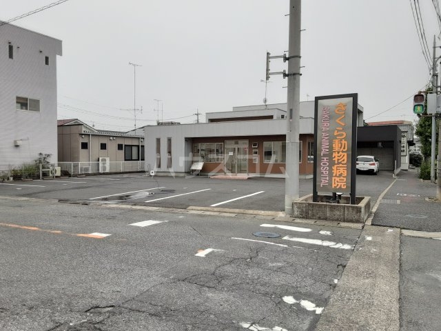 9/10 周辺