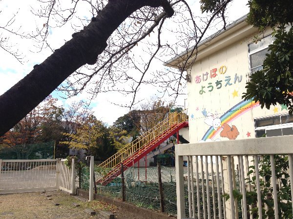 25/29 周辺