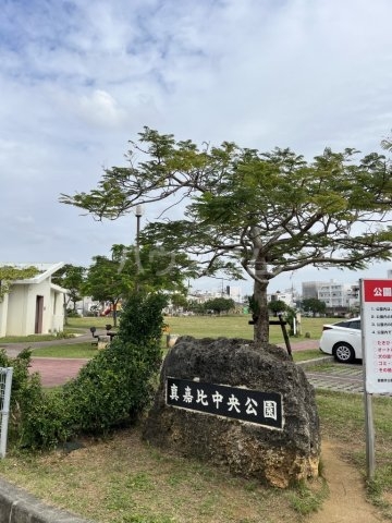 30/30 周辺
