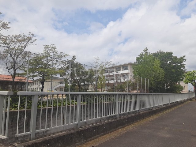 30/30 周辺
