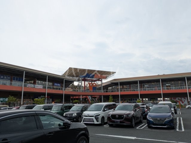3/8 周辺
