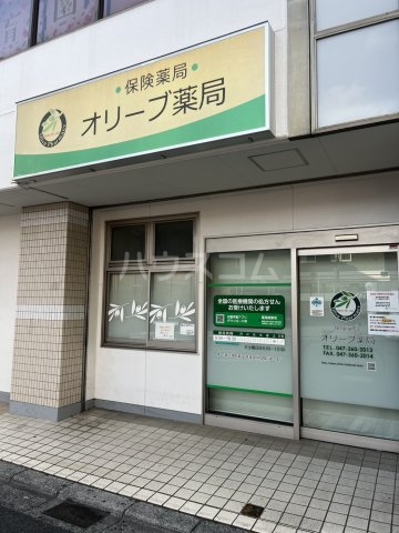 25/29 周辺