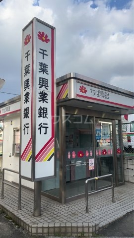 2/11 周辺