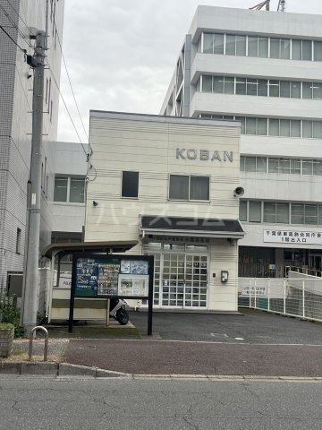 4/11 周辺