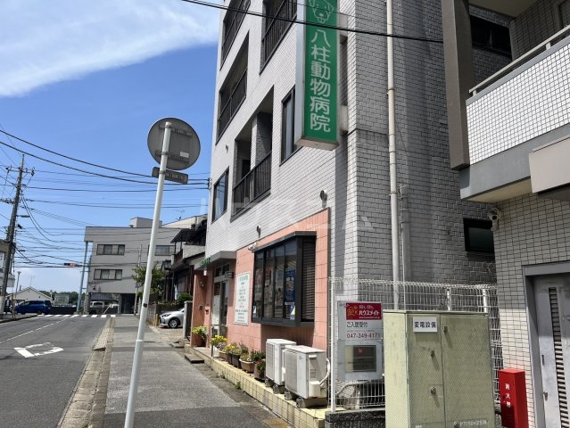 28/30 周辺
