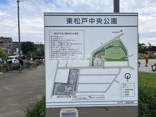 21/30 周辺