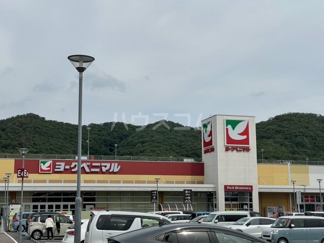 8/11 周辺