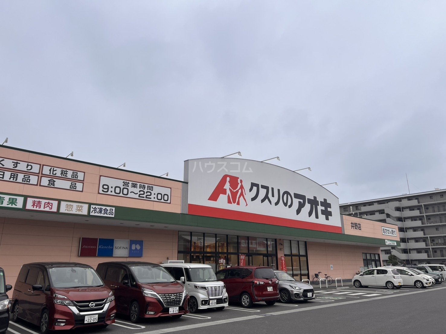 3/10 周辺