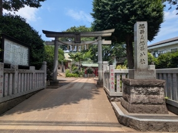2/11 周辺