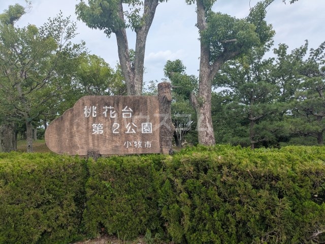 8/8 周辺