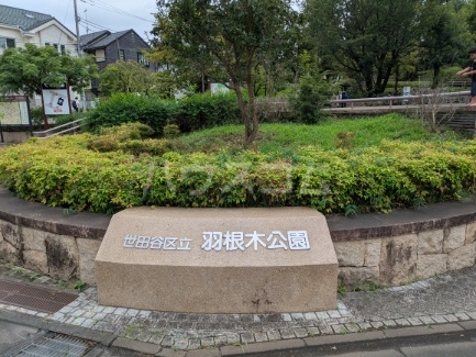 4/11 周辺
